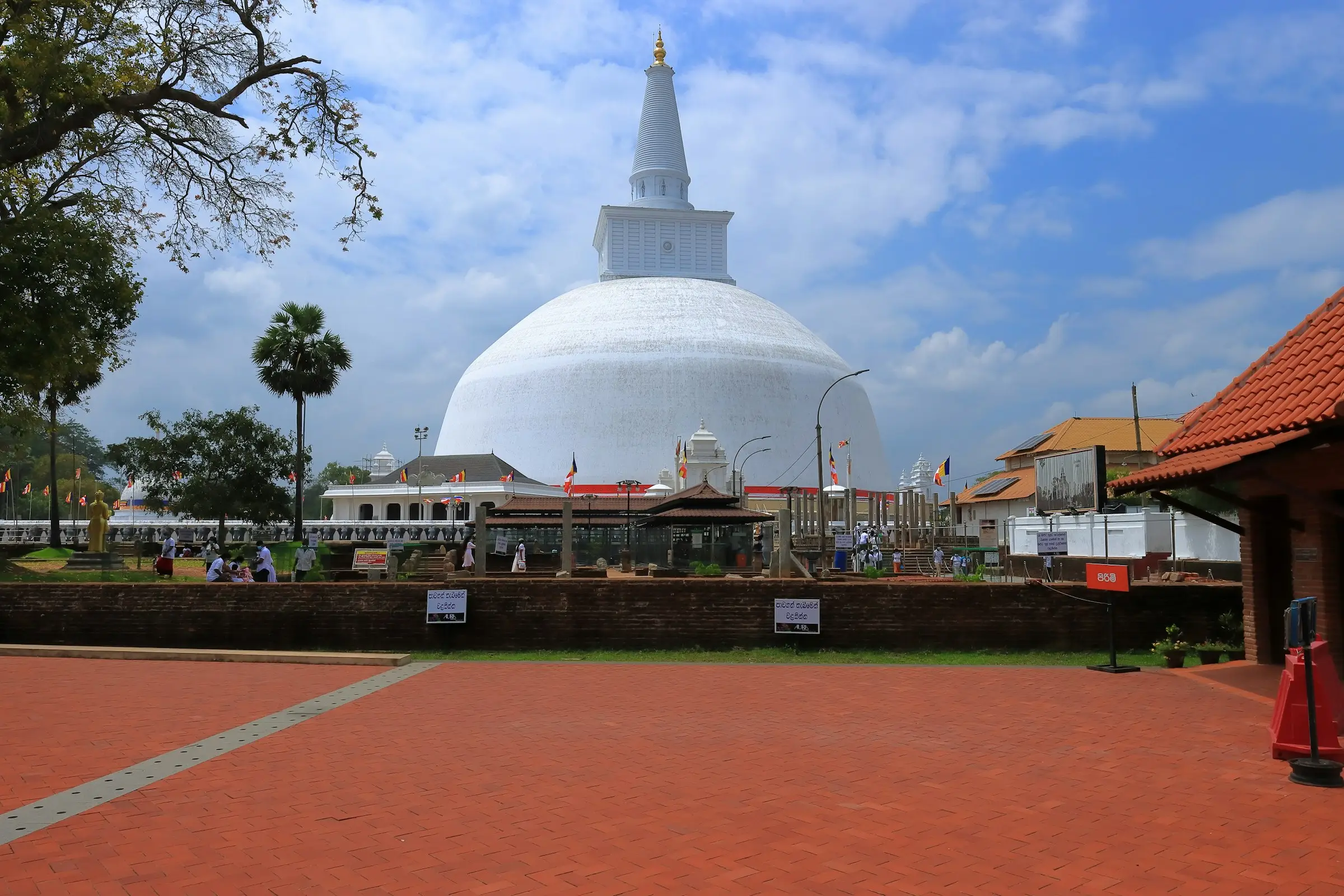 A large white dagoba rising above the treeline at Anuradhapura
