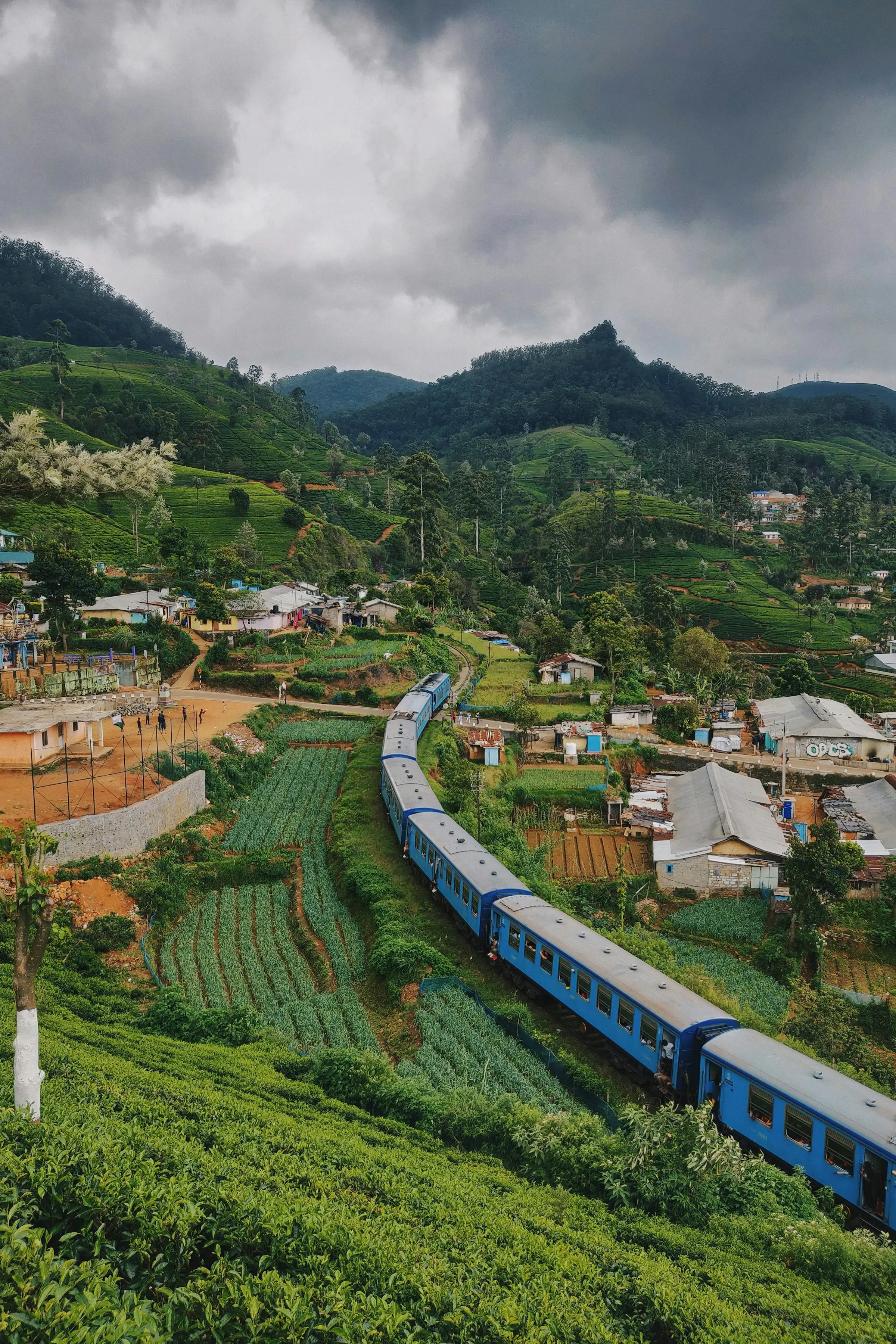 A blue Sri Lankan railway carriage passing close to hillside houses in the tea country