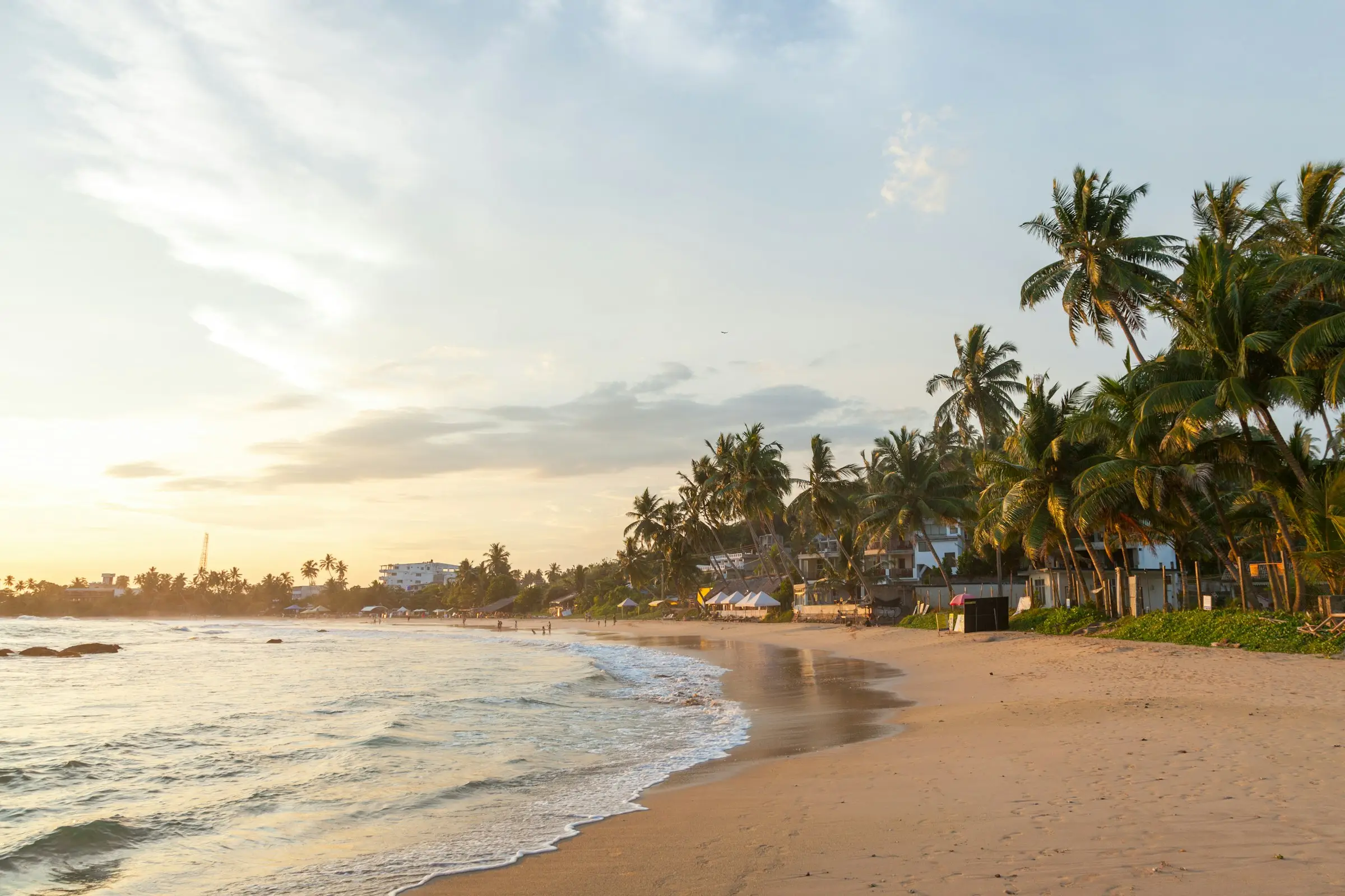 Palm trees leaning over a wide sandy beach under a bright sky